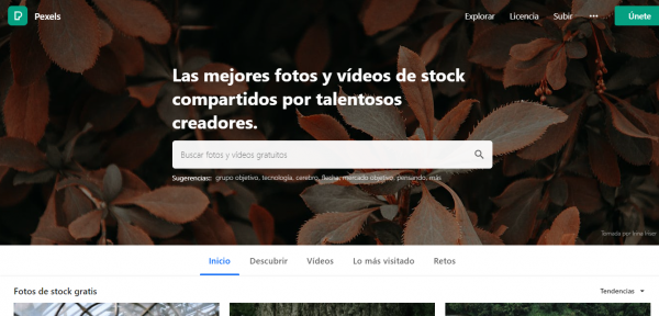 Los 5 mejores bancos de imagenes